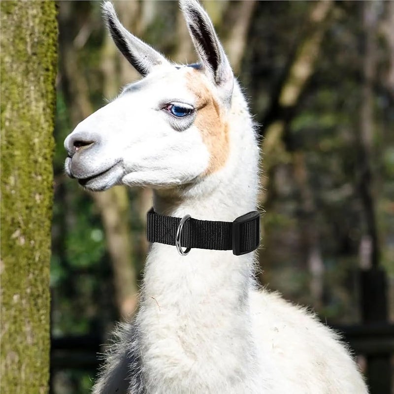 طوق البوليستر القابل للتعديل للماعز والأغنام والأبقار والخيول في مزرعة الحيوانات - Image 5